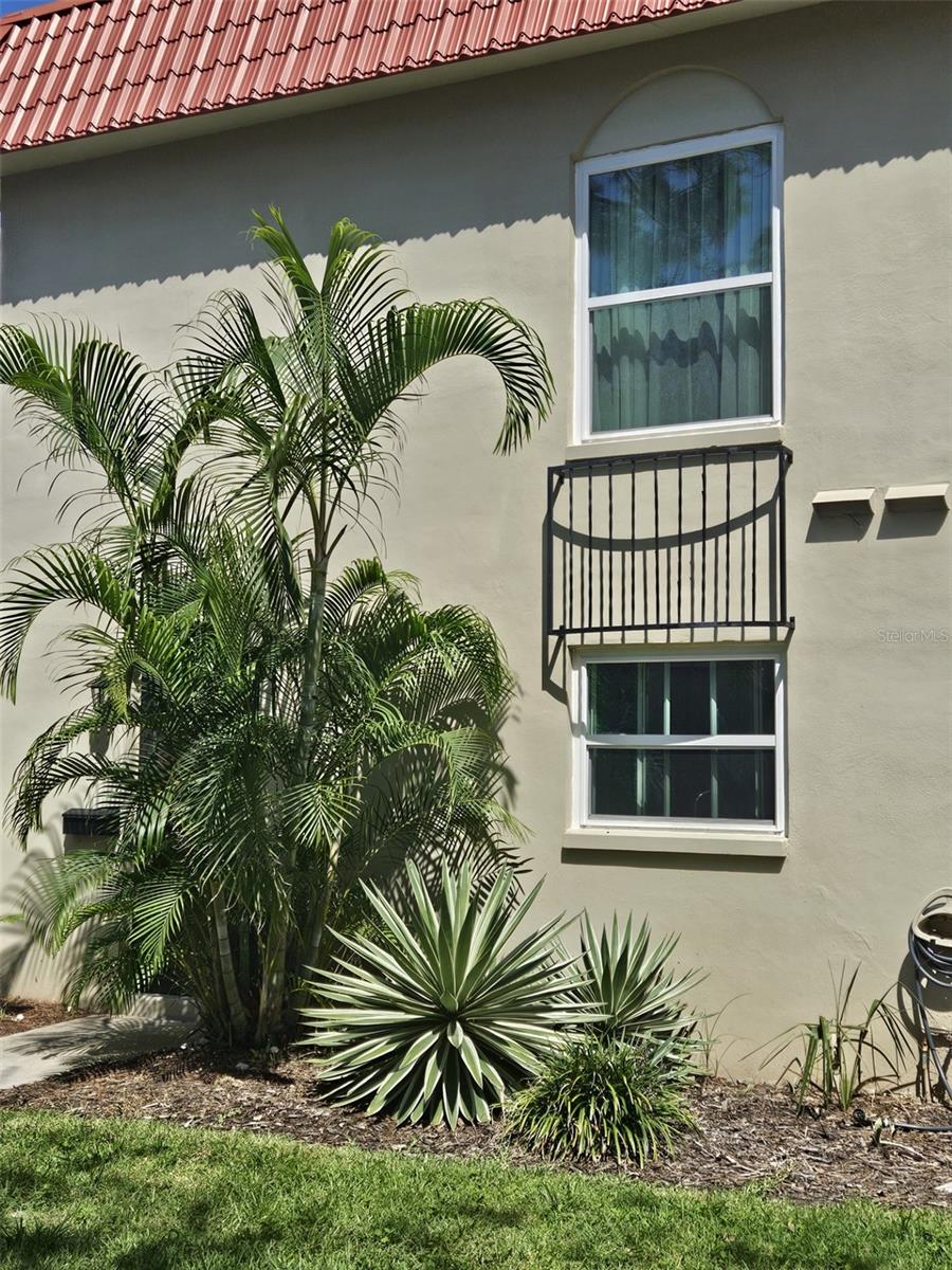 Image 3 of 36 For 2700 Bayshore Boulevard 2b