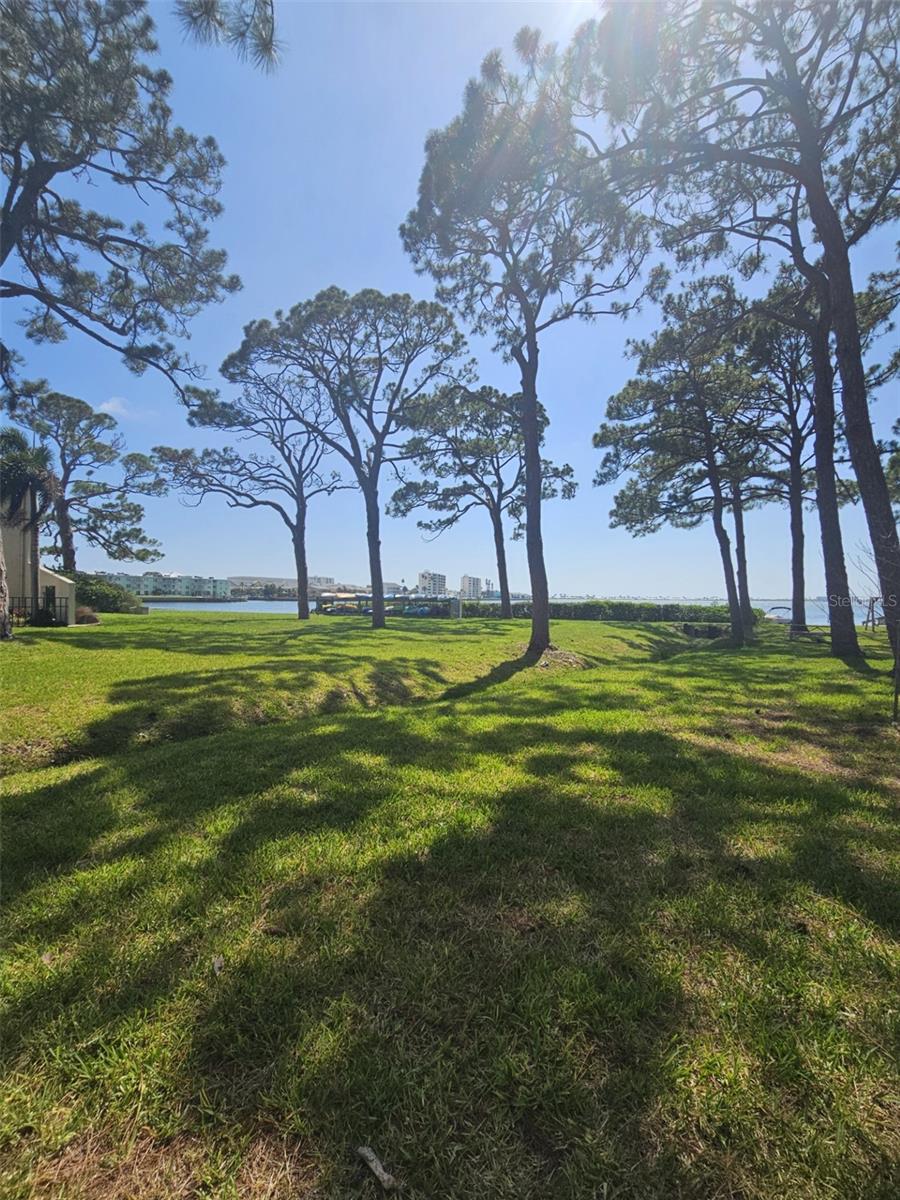 Image 30 of 36 For 2700 Bayshore Boulevard 2b