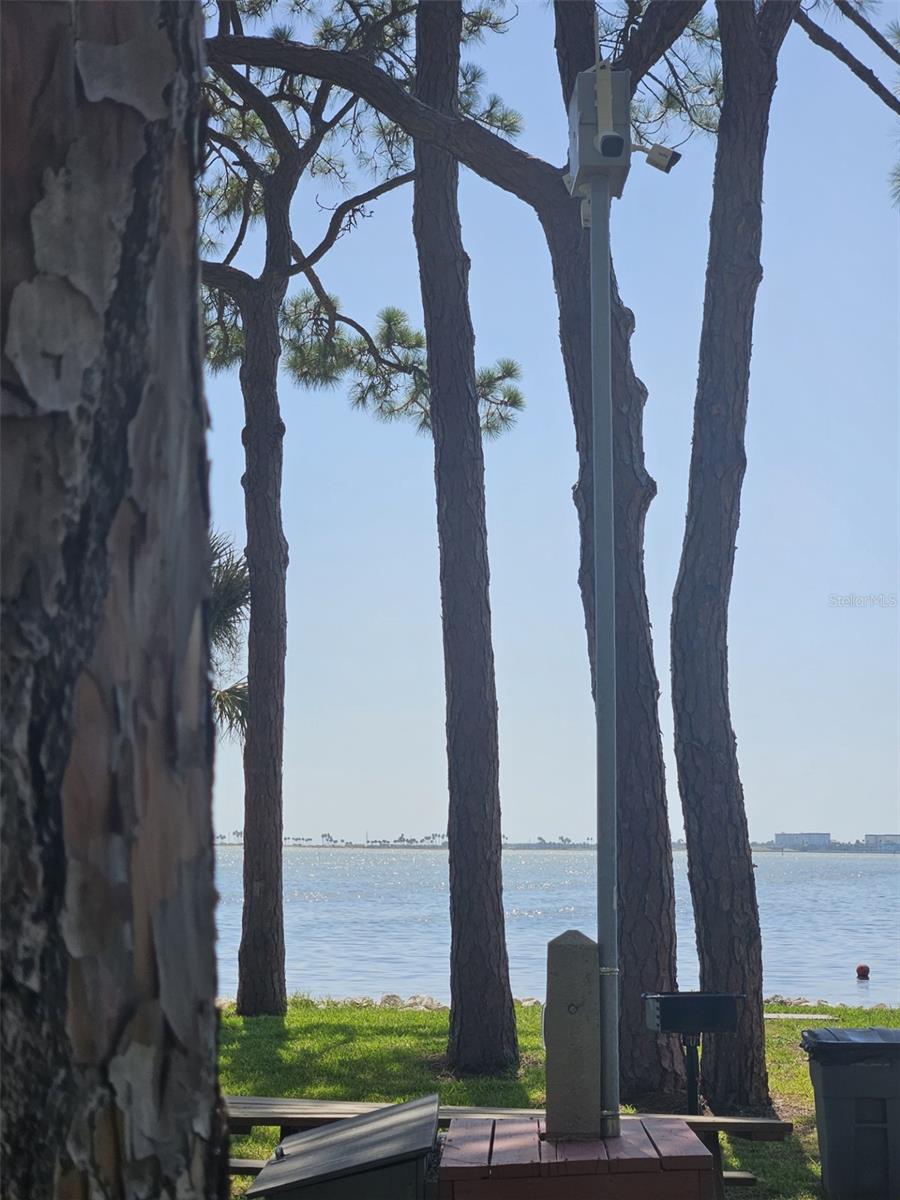 Image 33 of 36 For 2700 Bayshore Boulevard 2b