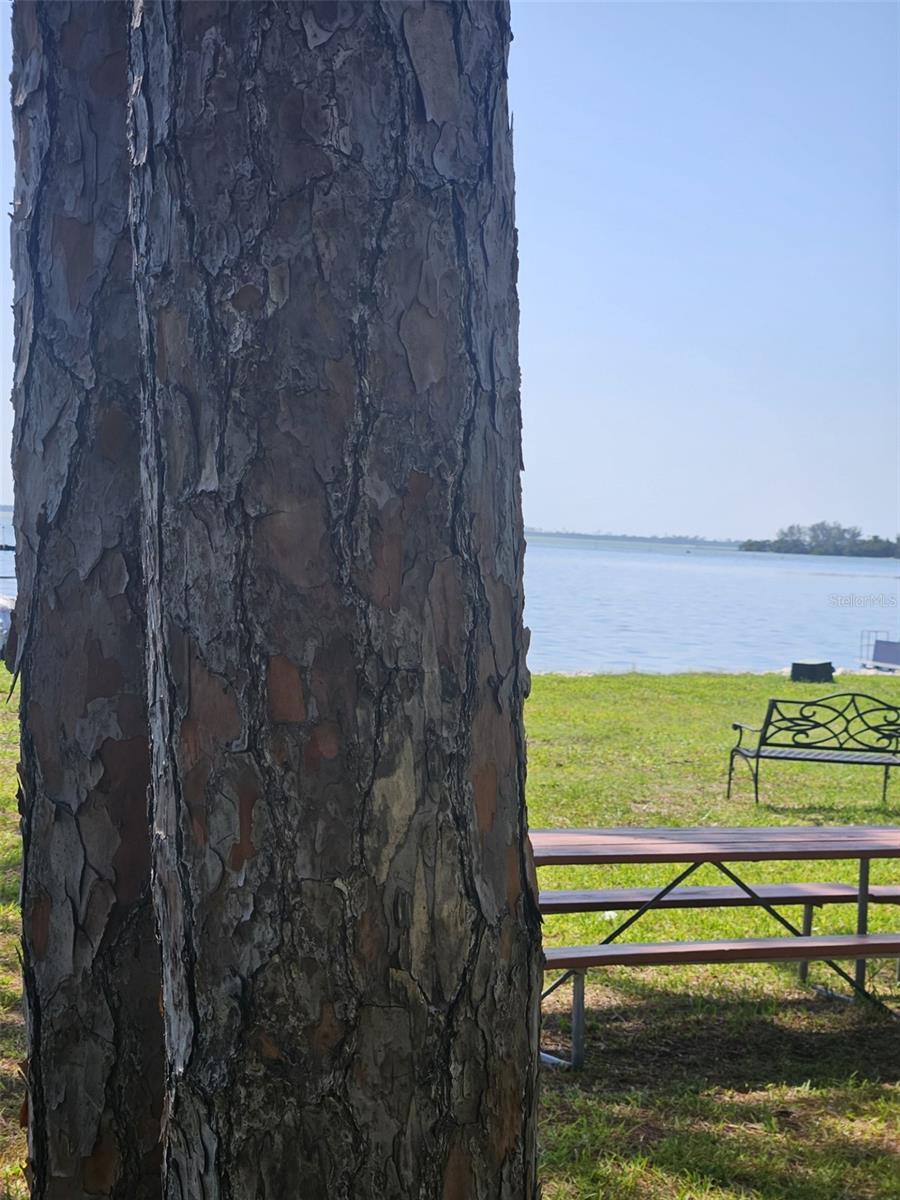 Image 34 of 36 For 2700 Bayshore Boulevard 2b