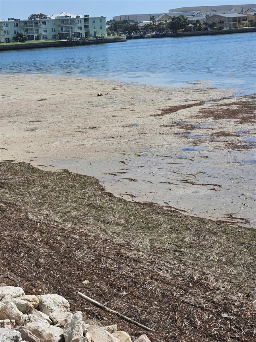 Image 36 of 36 For 2700 Bayshore Boulevard 2b