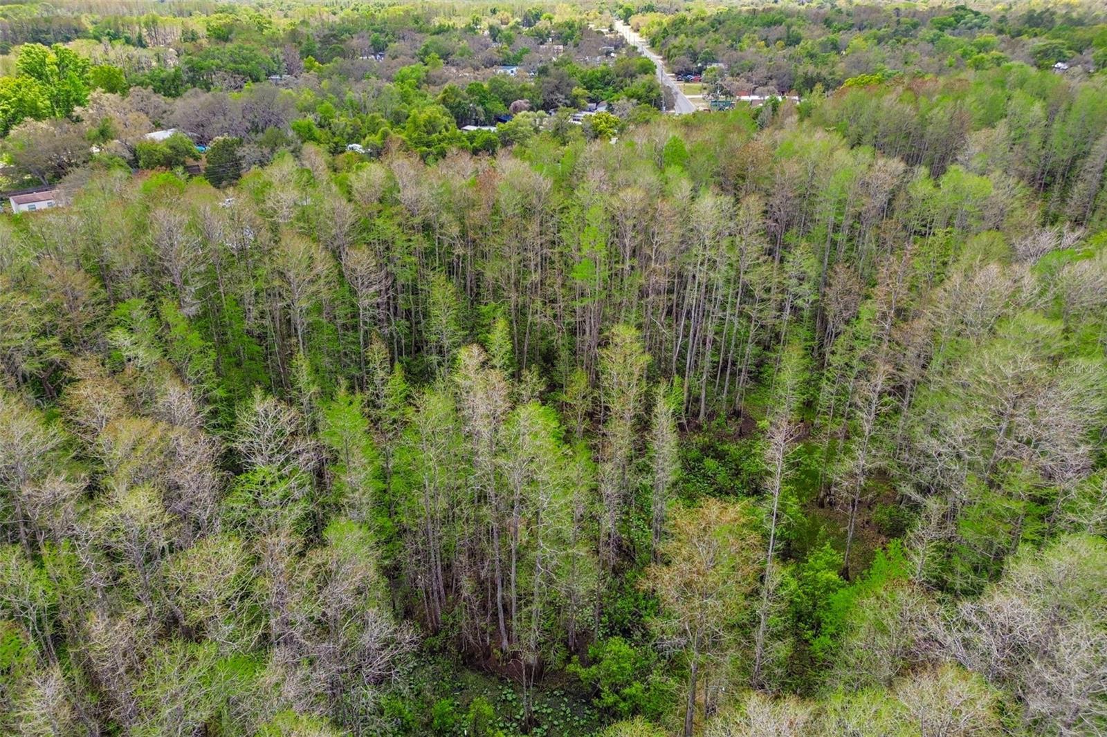 Image 46 of 53 For 9917 Lake Drive