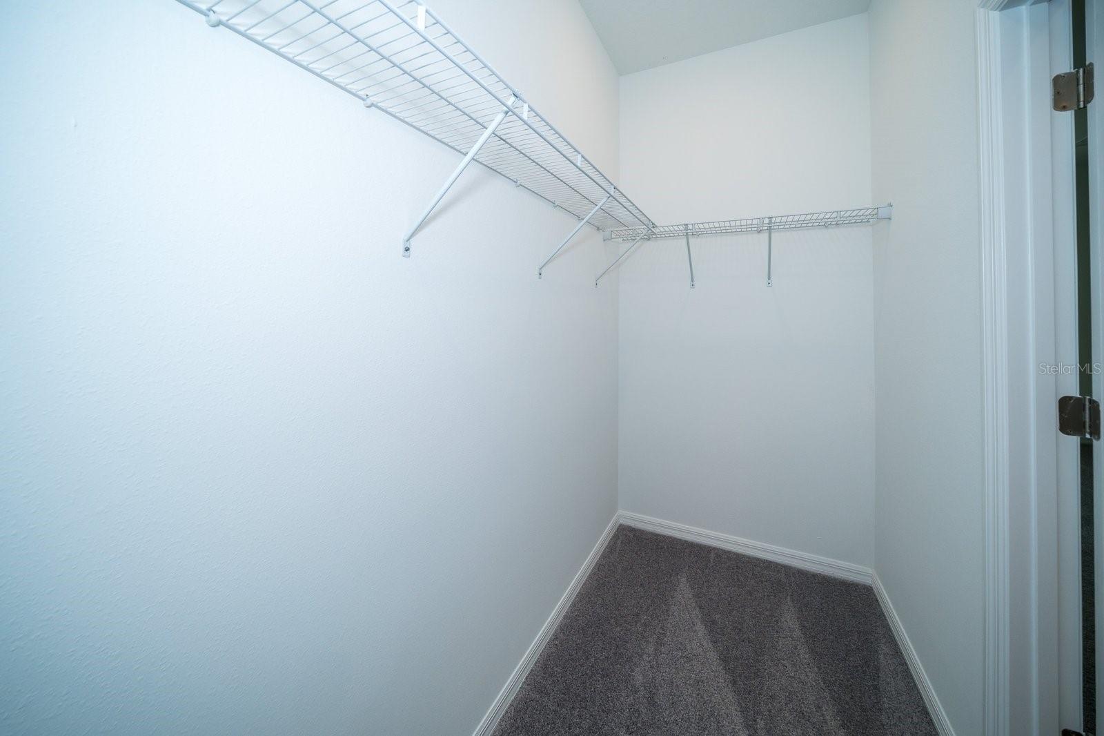 Image 13 of 39 For 32134 Powderpuff Mimosa Drive