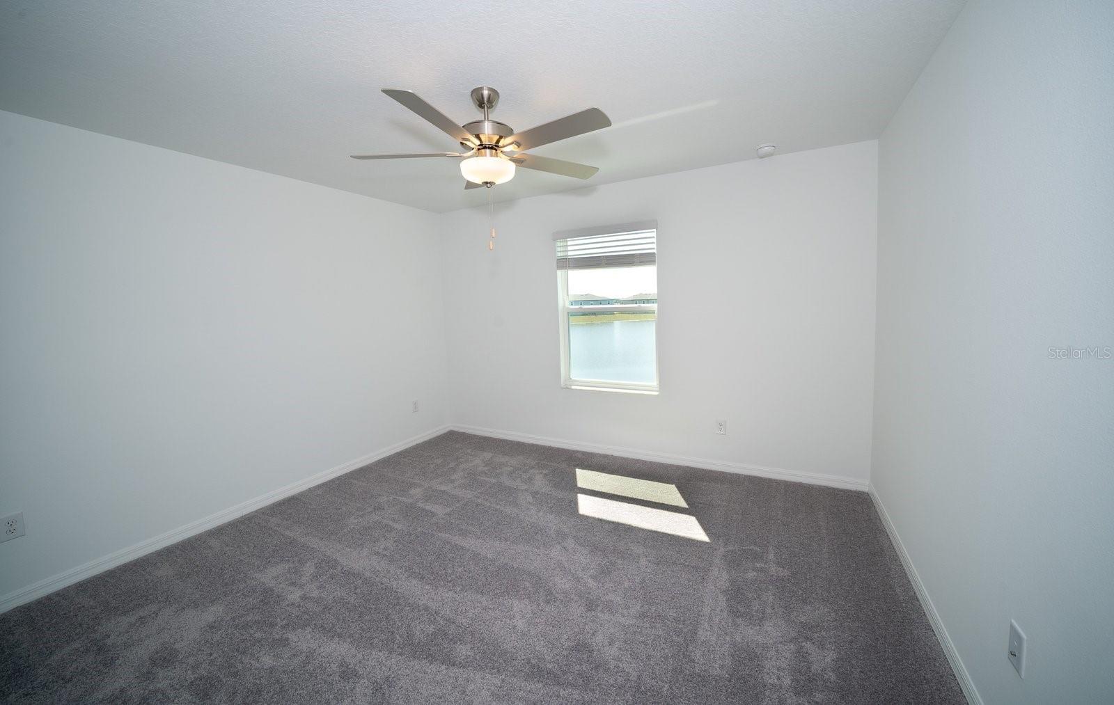 Image 18 of 39 For 32134 Powderpuff Mimosa Drive