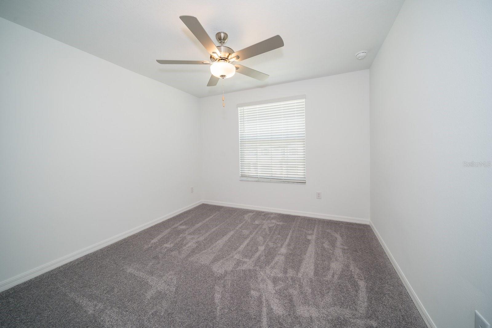 Image 21 of 39 For 32134 Powderpuff Mimosa Drive