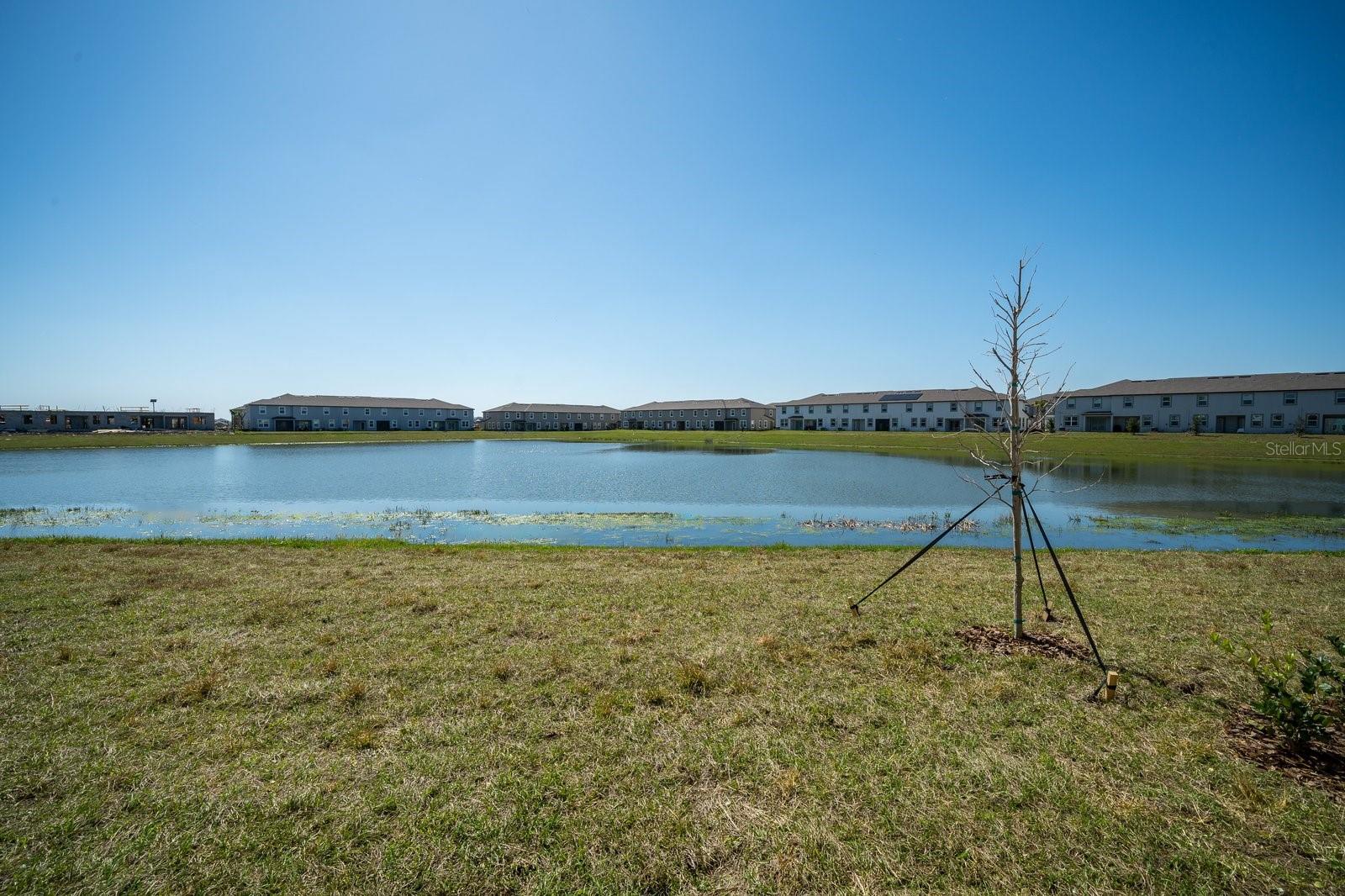 Image 27 of 39 For 32134 Powderpuff Mimosa Drive