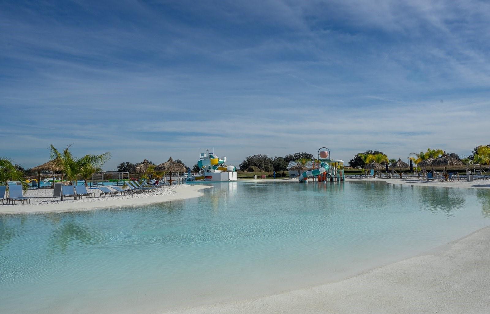 Image 28 of 39 For 32134 Powderpuff Mimosa Drive