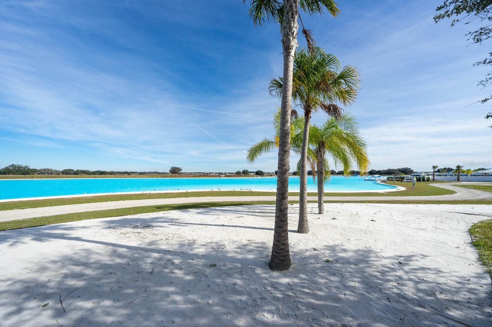 Image 35 of 39 For 32134 Powderpuff Mimosa Drive