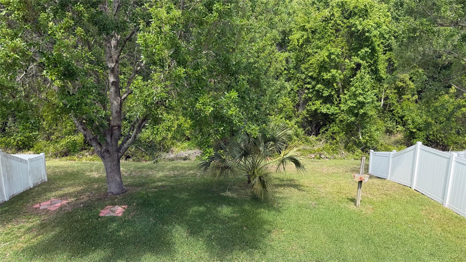 Image 48 of 76 For 12701 Saulston Place