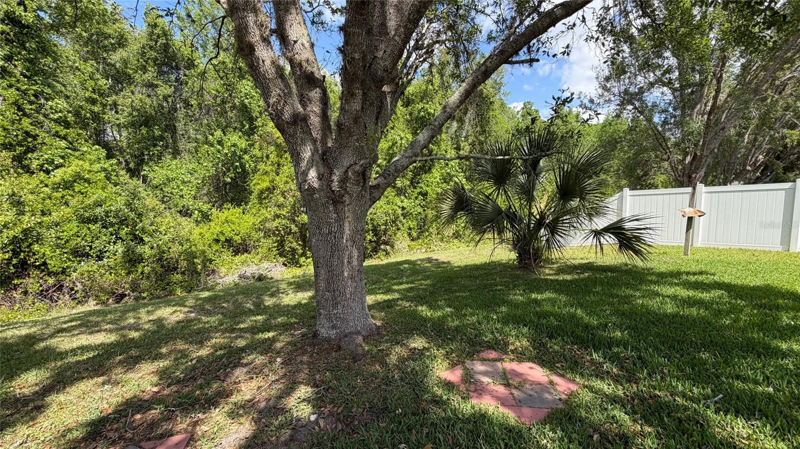 Image 53 of 76 For 12701 Saulston Place