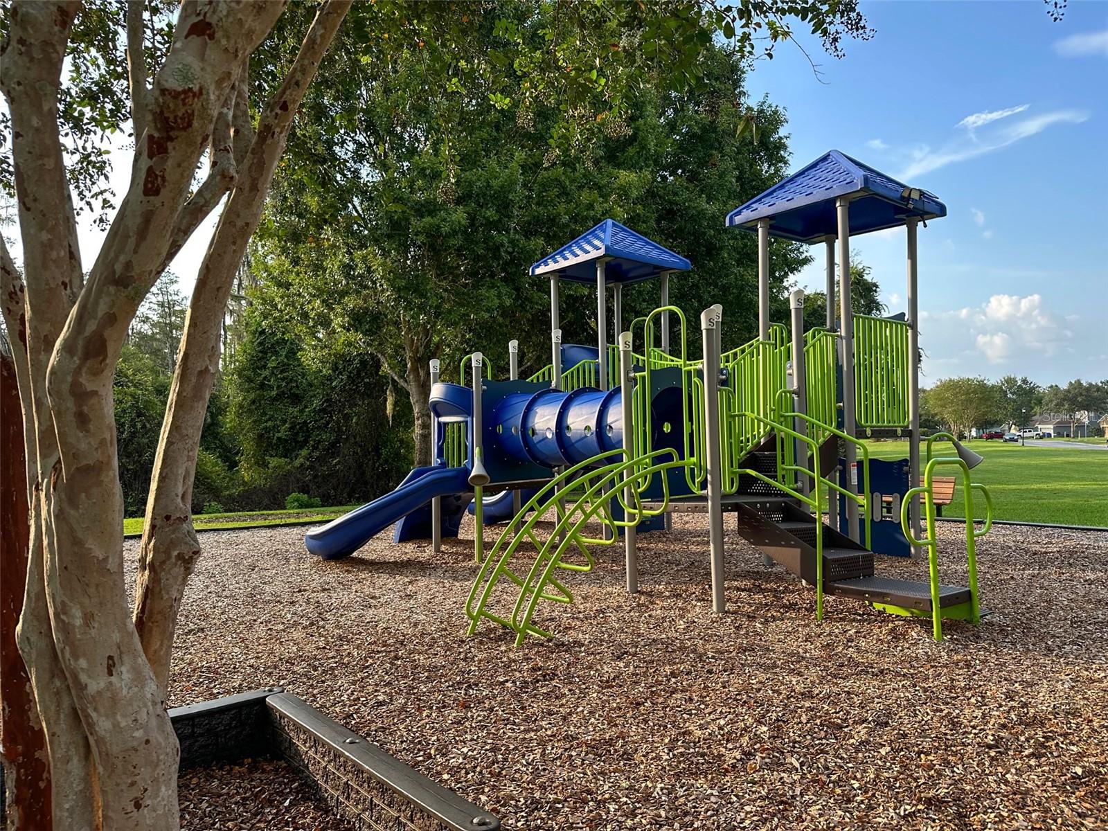 Image 71 of 76 For 12701 Saulston Place