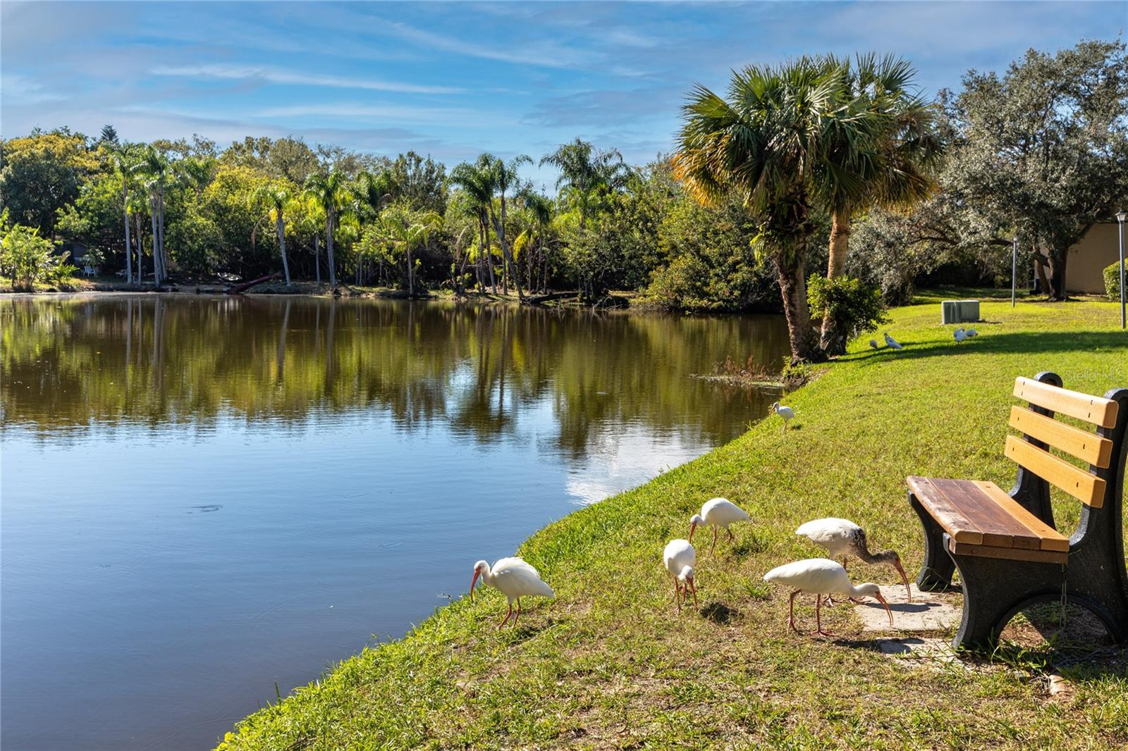 Image 29 of 30 For 4215 Bay Drive 1806d