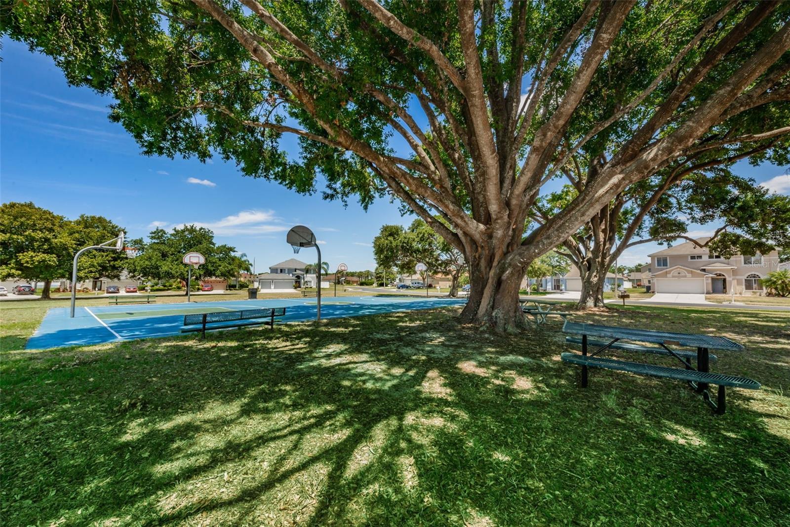 Image 52 of 60 For 25841 Crippen Drive