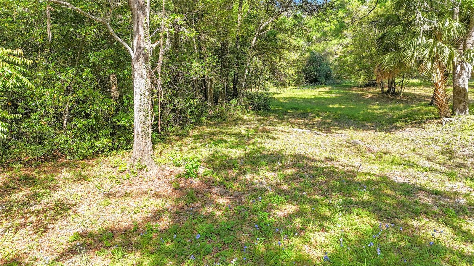 Image 7 of 15 For Lot 000 39th Avenue