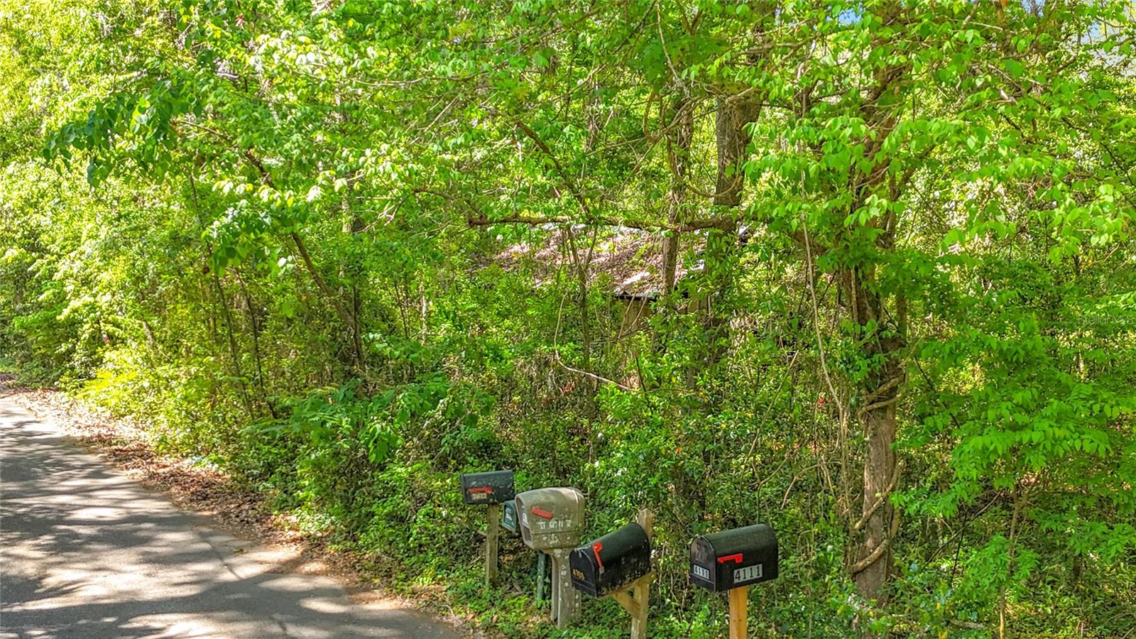 Image 6 of 15 For Lot 001 37th Drive