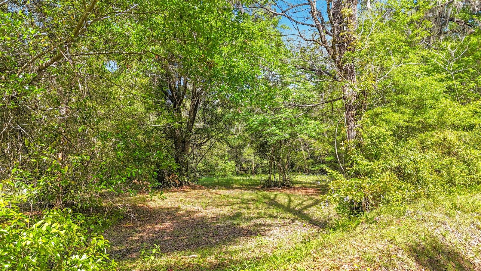Image 8 of 15 For Lot 001 37th Drive