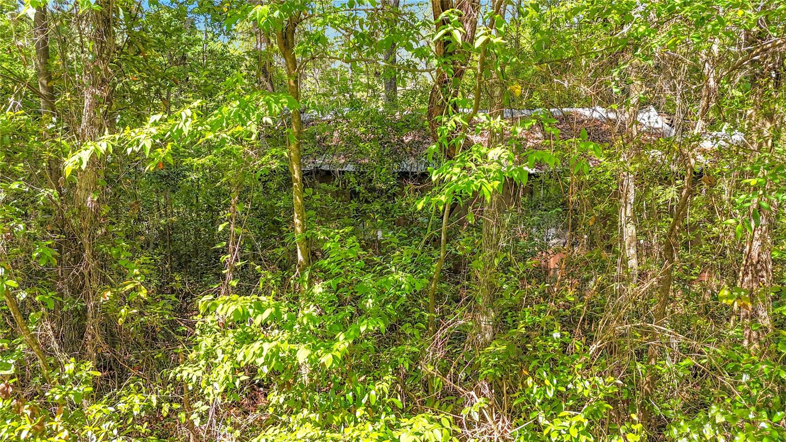 Image 9 of 15 For Lot 001 37th Drive