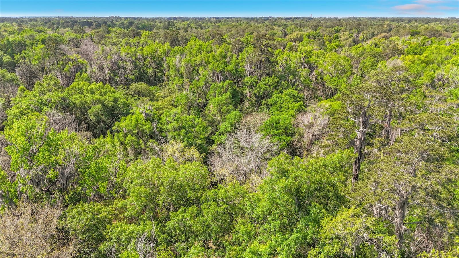 Image 10 of 15 For Lot 002 37th Drive