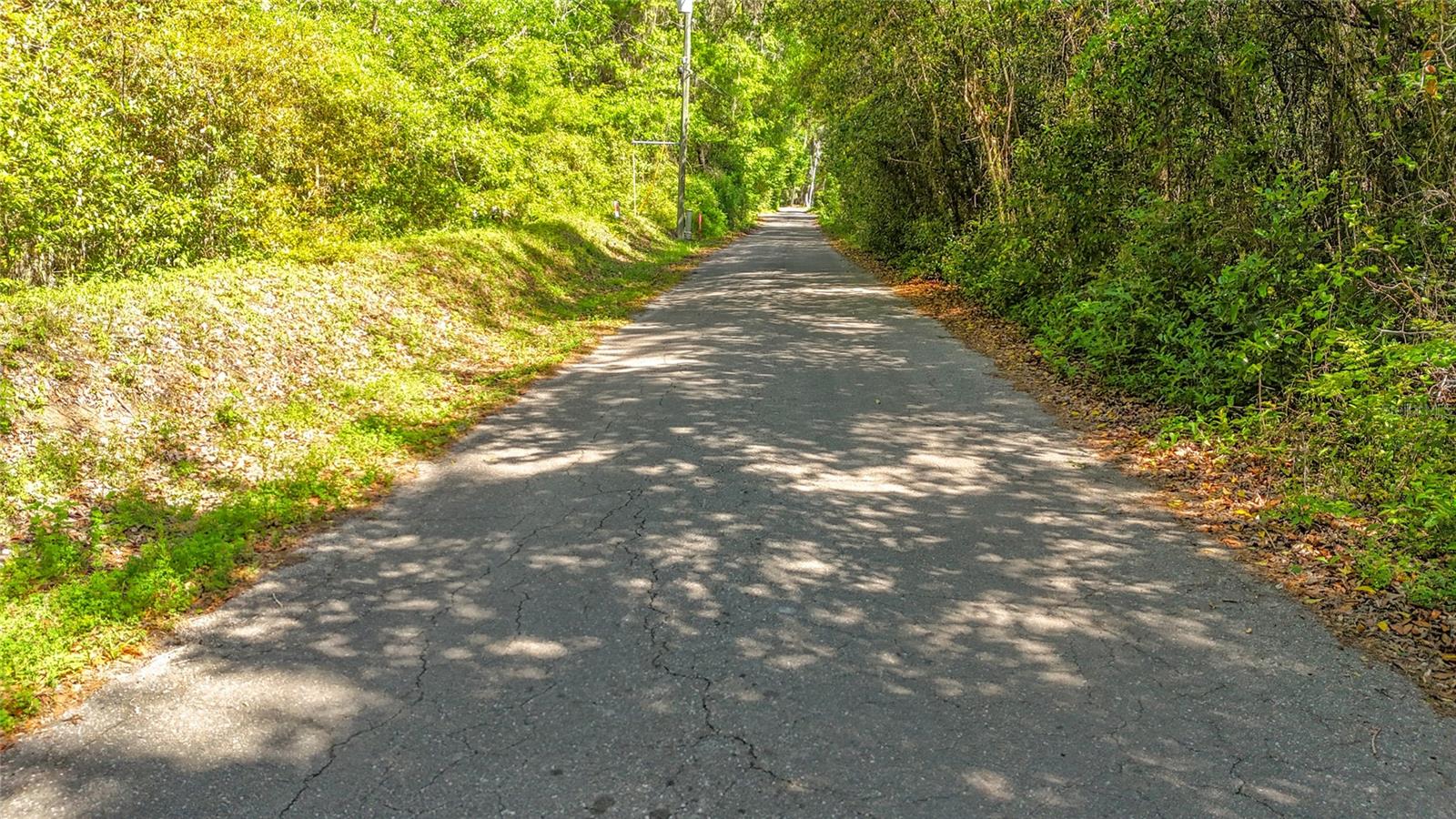 Image 4 of 15 For Lot 002 37th Drive