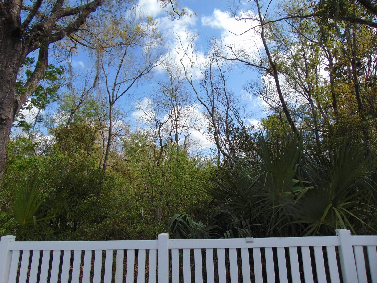 Image 33 of 35 For 4706 Tampa Downs Boulevard