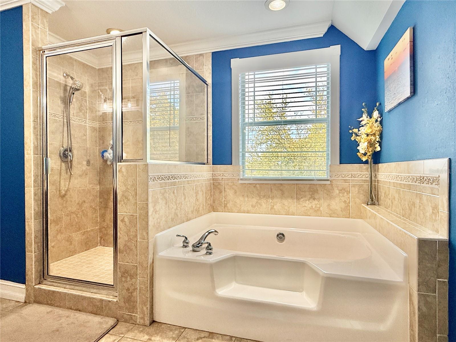 Image 19 of 26 For 34834 Redding Lane