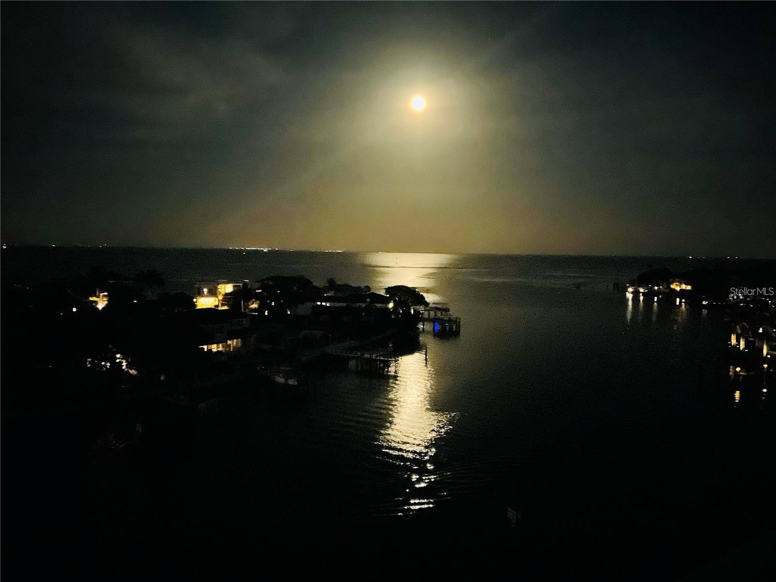 Image 42 of 42 For 1365 Snell Isle Boulevard Ne 8d