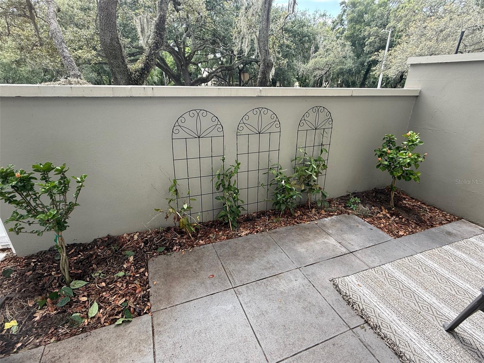 Image 22 of 29 For 6206 Greenleaf Lane