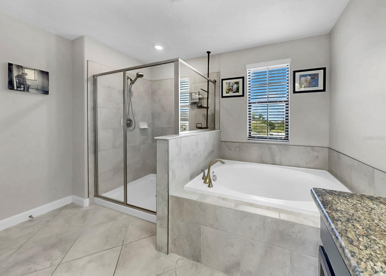 Image 38 of 80 For 13256 Wildflower Meadow Drive