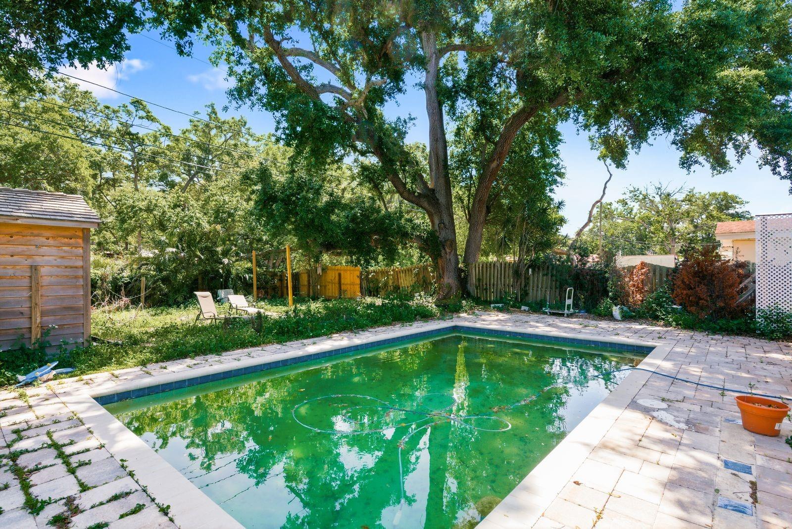 Image 22 of 23 For 985 Cedarwood Avenue