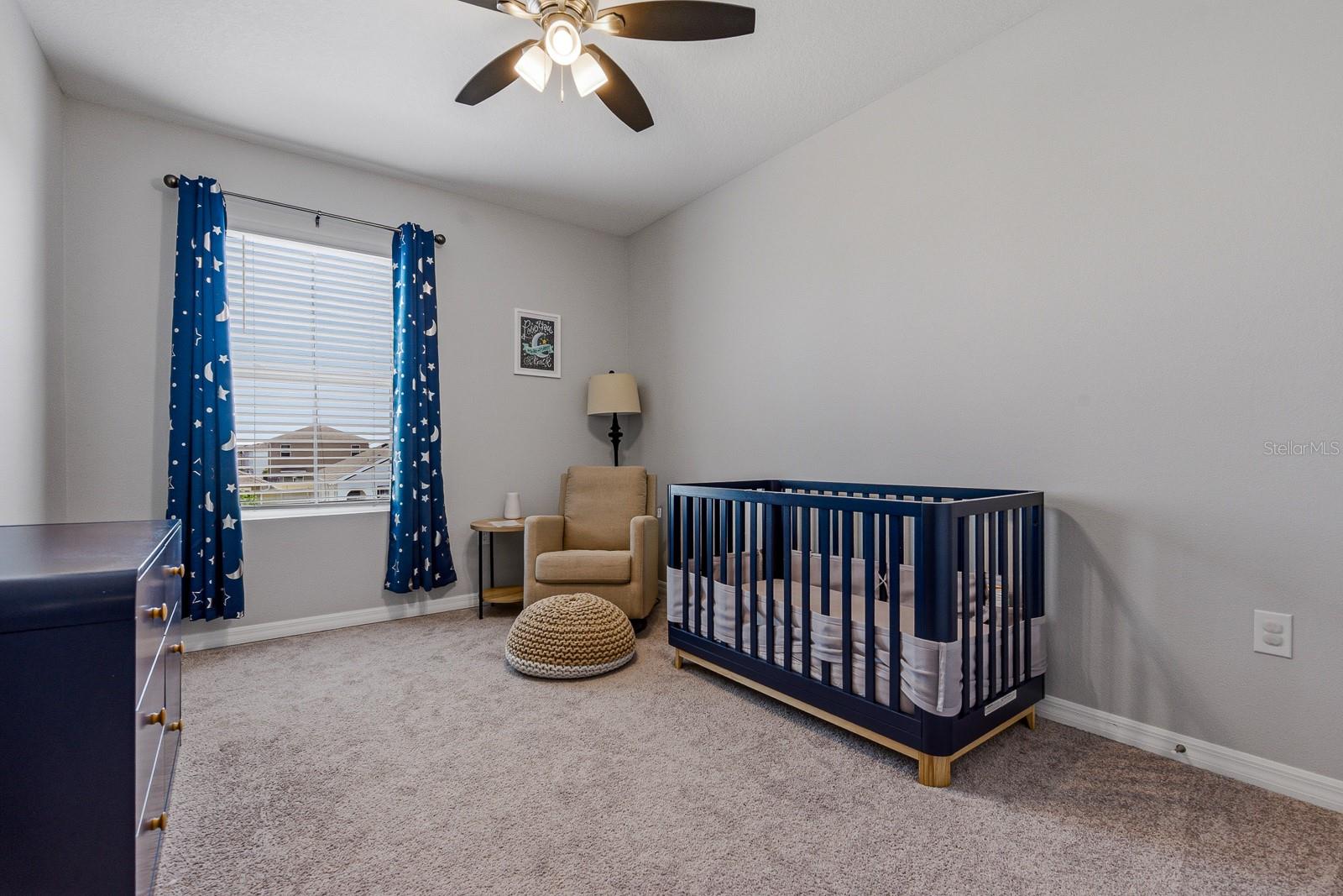 Image 25 of 48 For 16129 Soft Fern Trace