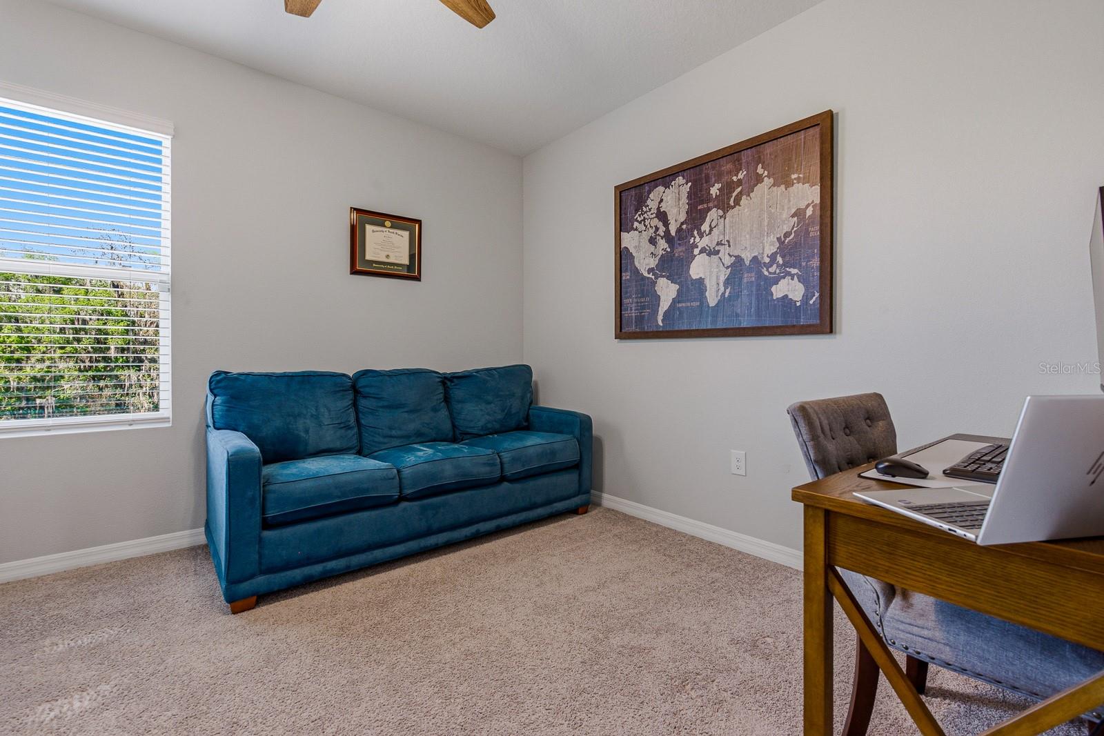 Image 27 of 48 For 16129 Soft Fern Trace