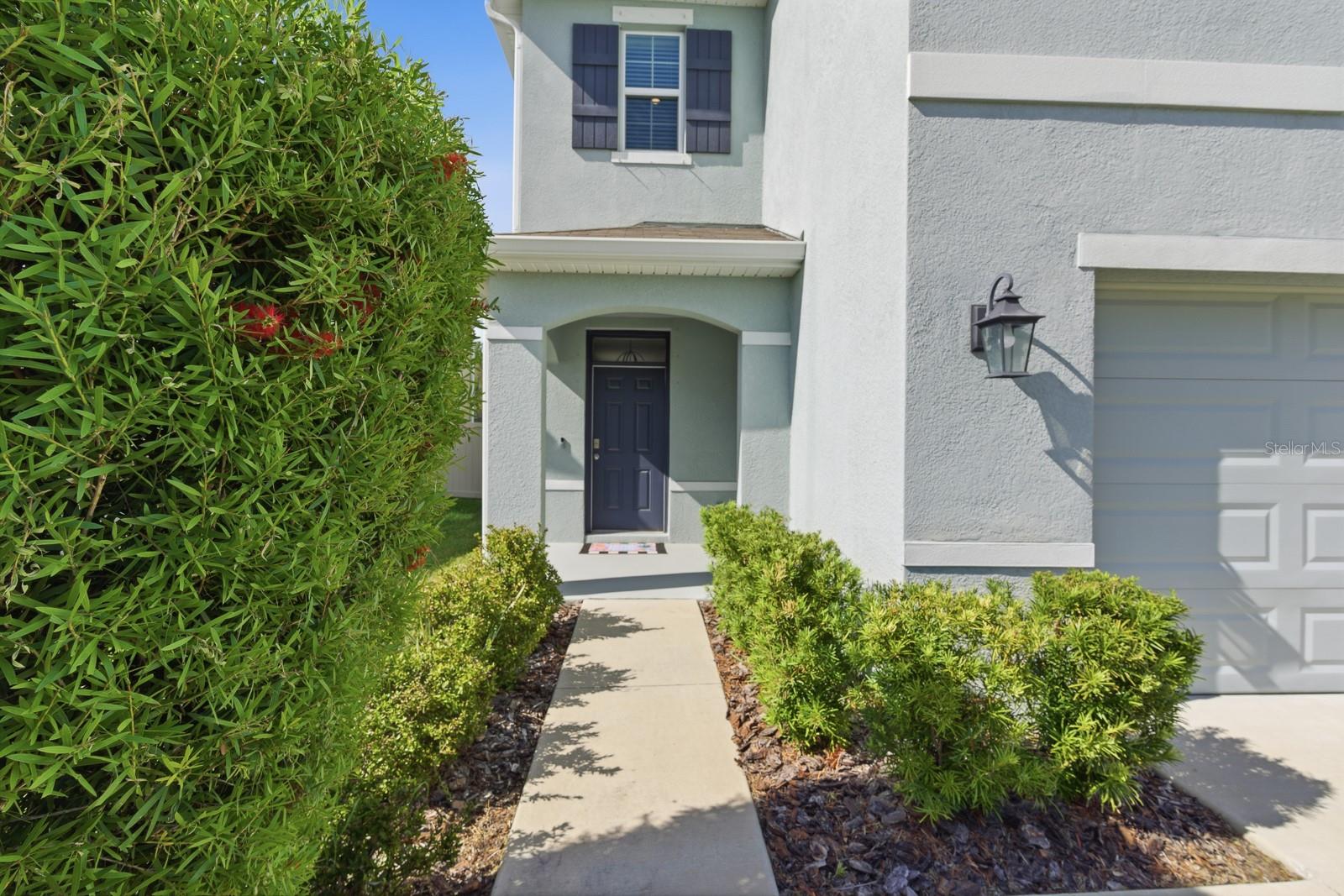 Image 3 of 48 For 16129 Soft Fern Trace