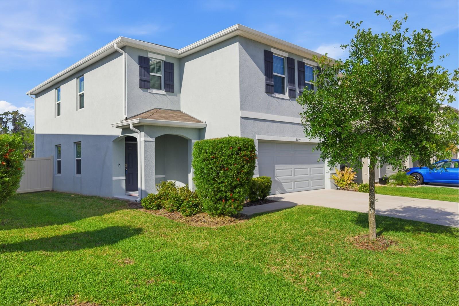 Image 37 of 48 For 16129 Soft Fern Trace