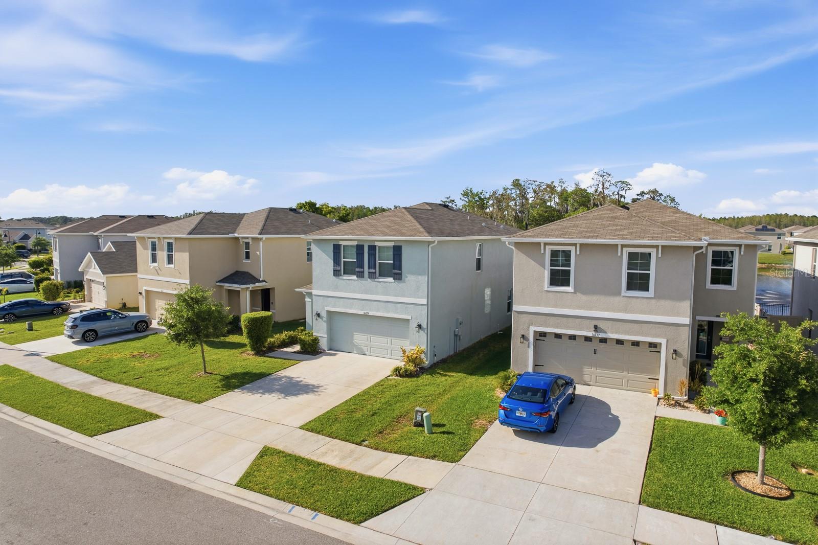 Image 38 of 48 For 16129 Soft Fern Trace