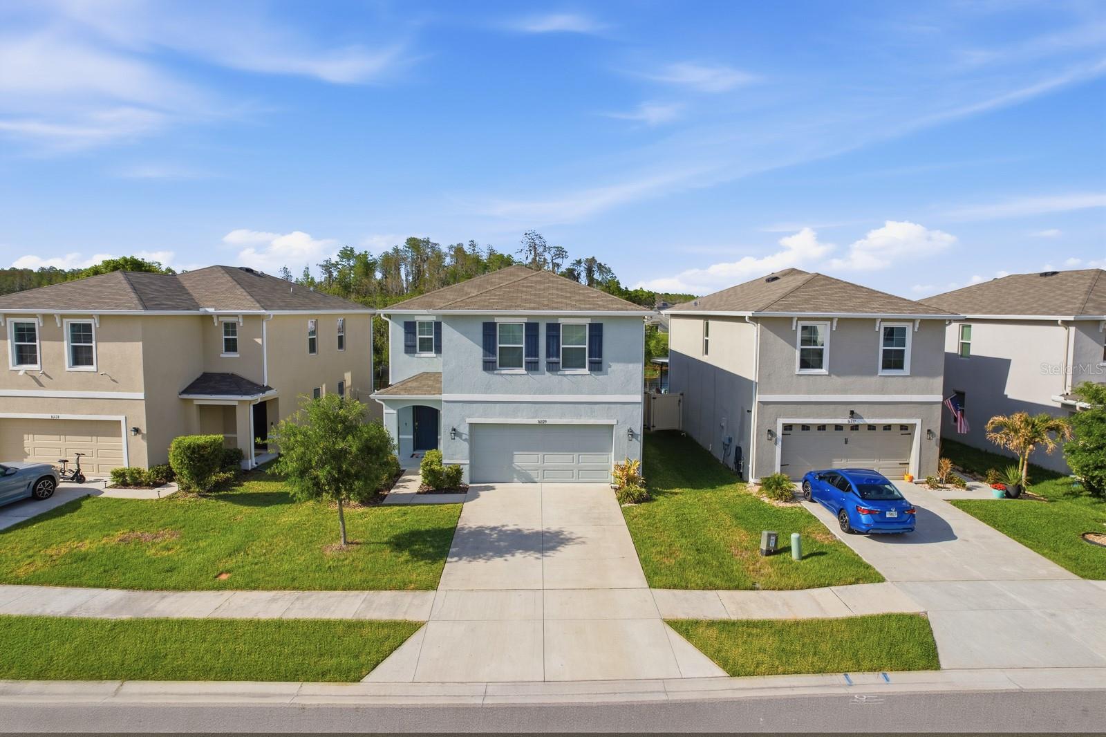 Image 39 of 48 For 16129 Soft Fern Trace