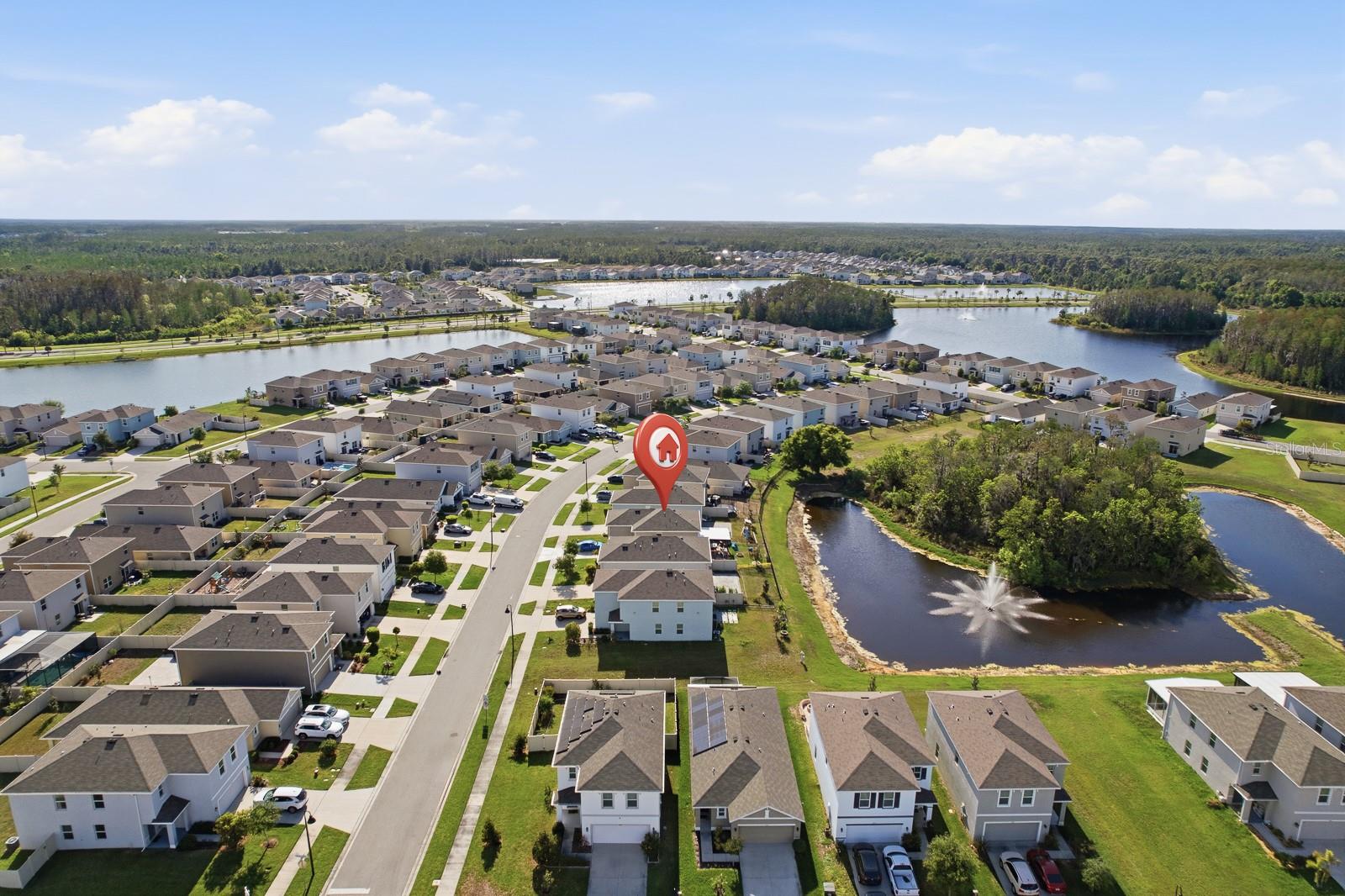 Image 41 of 48 For 16129 Soft Fern Trace