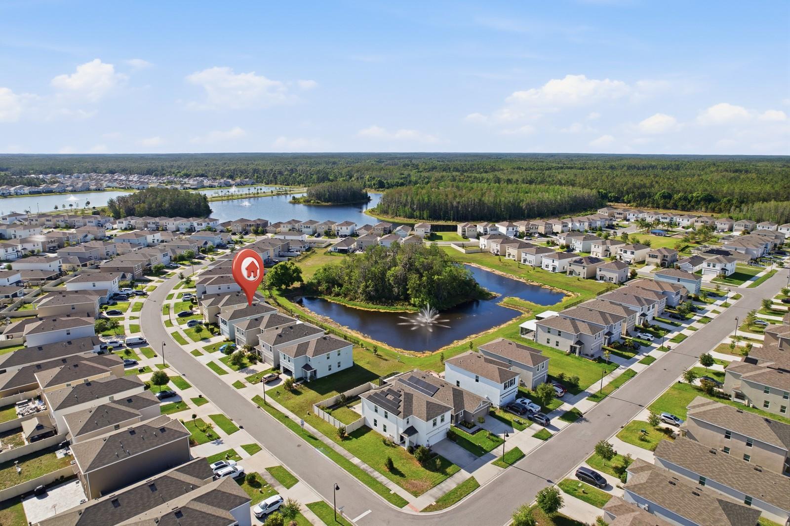 Image 42 of 48 For 16129 Soft Fern Trace