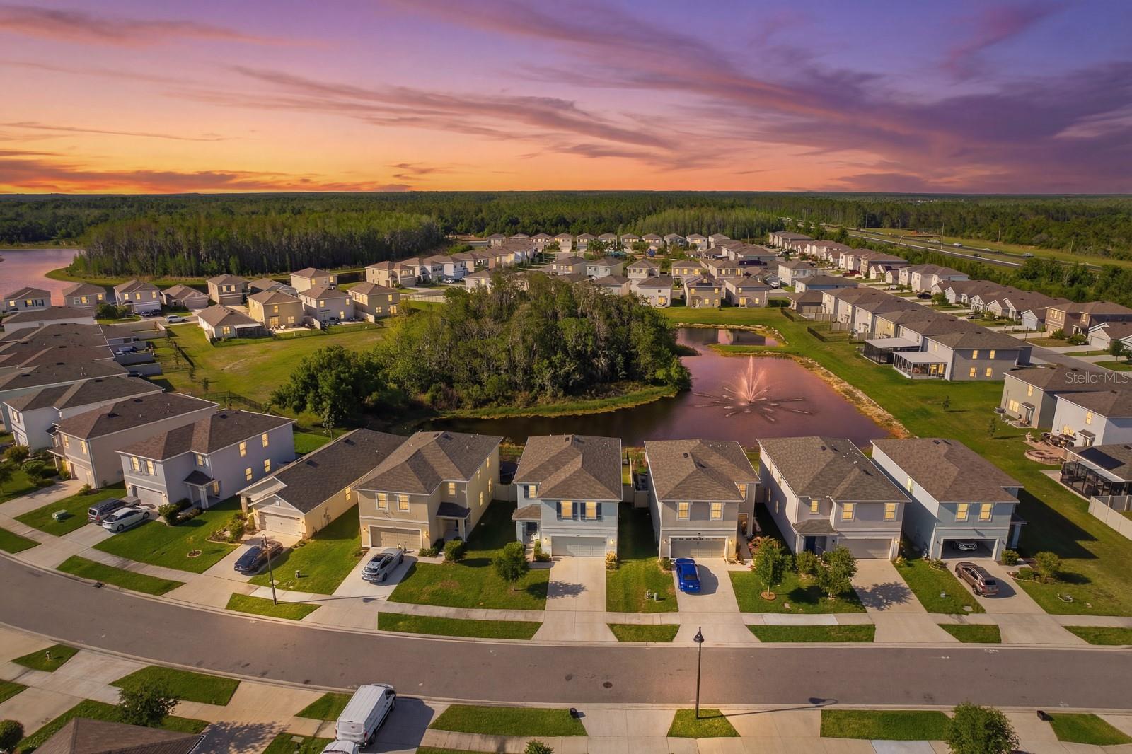 Image 48 of 48 For 16129 Soft Fern Trace