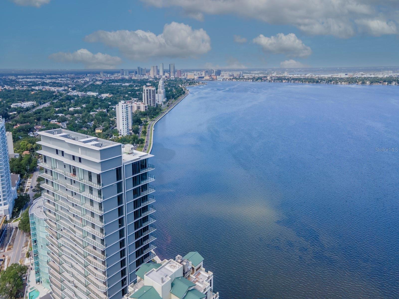 Image 77 of 80 For 3101 Bayshore Blvd Street 1102