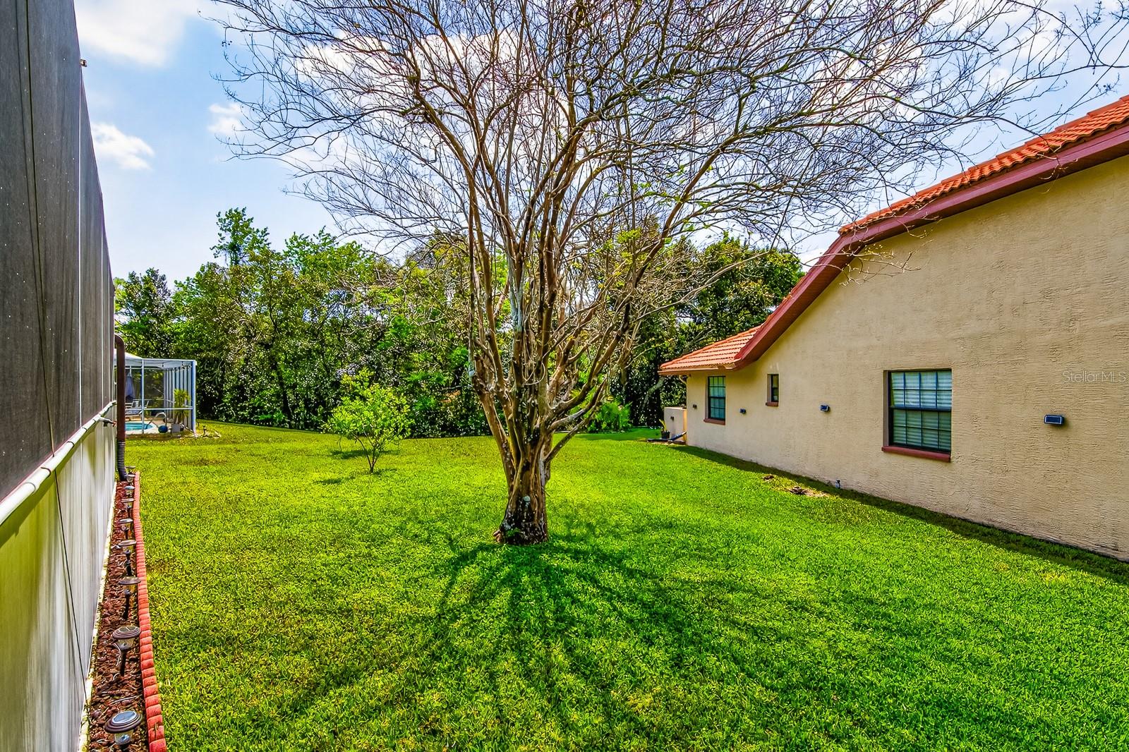 Image 42 of 47 For 8248 Millwood Drive