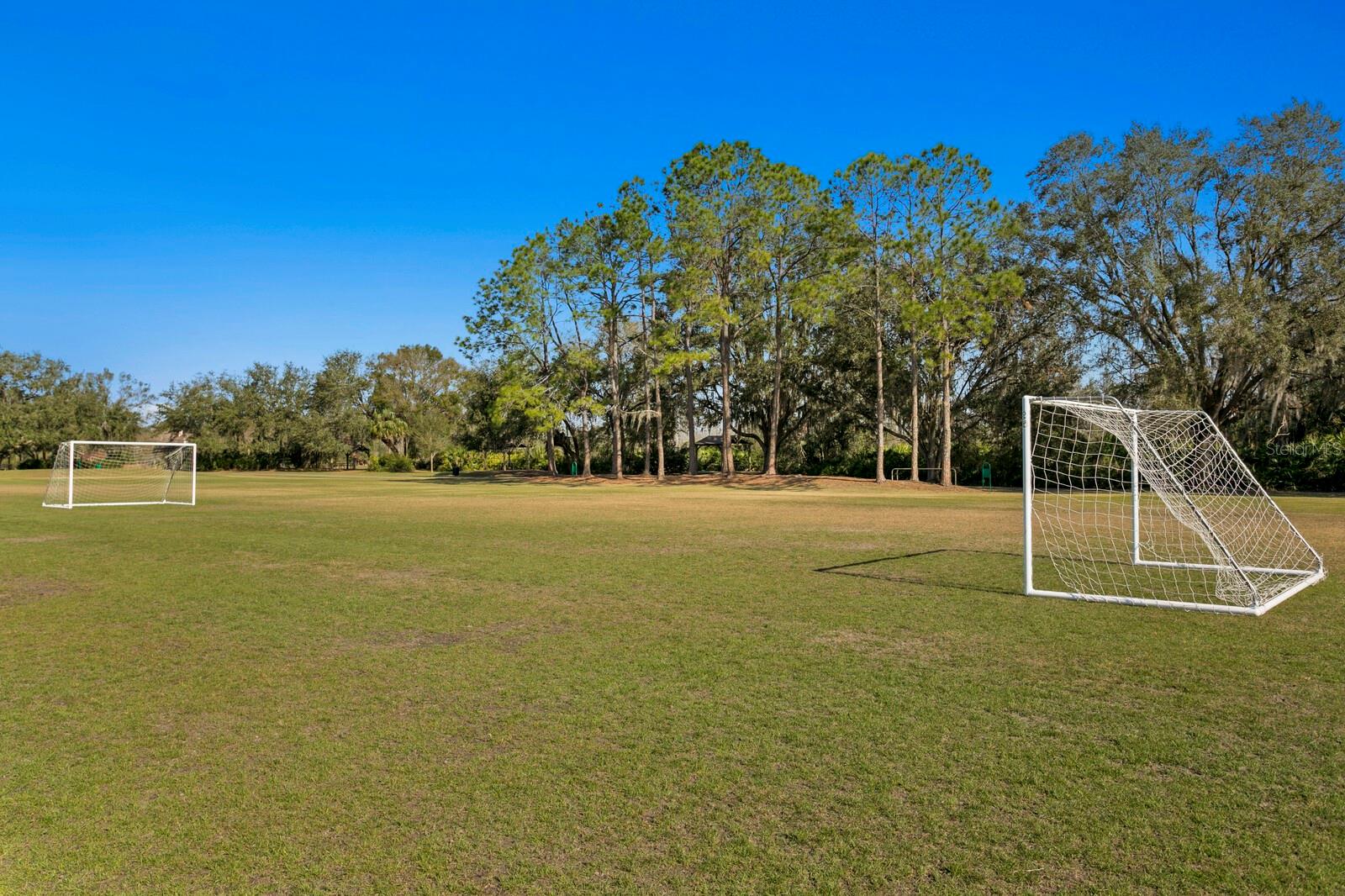 Listing photo id 67 for 9337 Wellington Park Circle