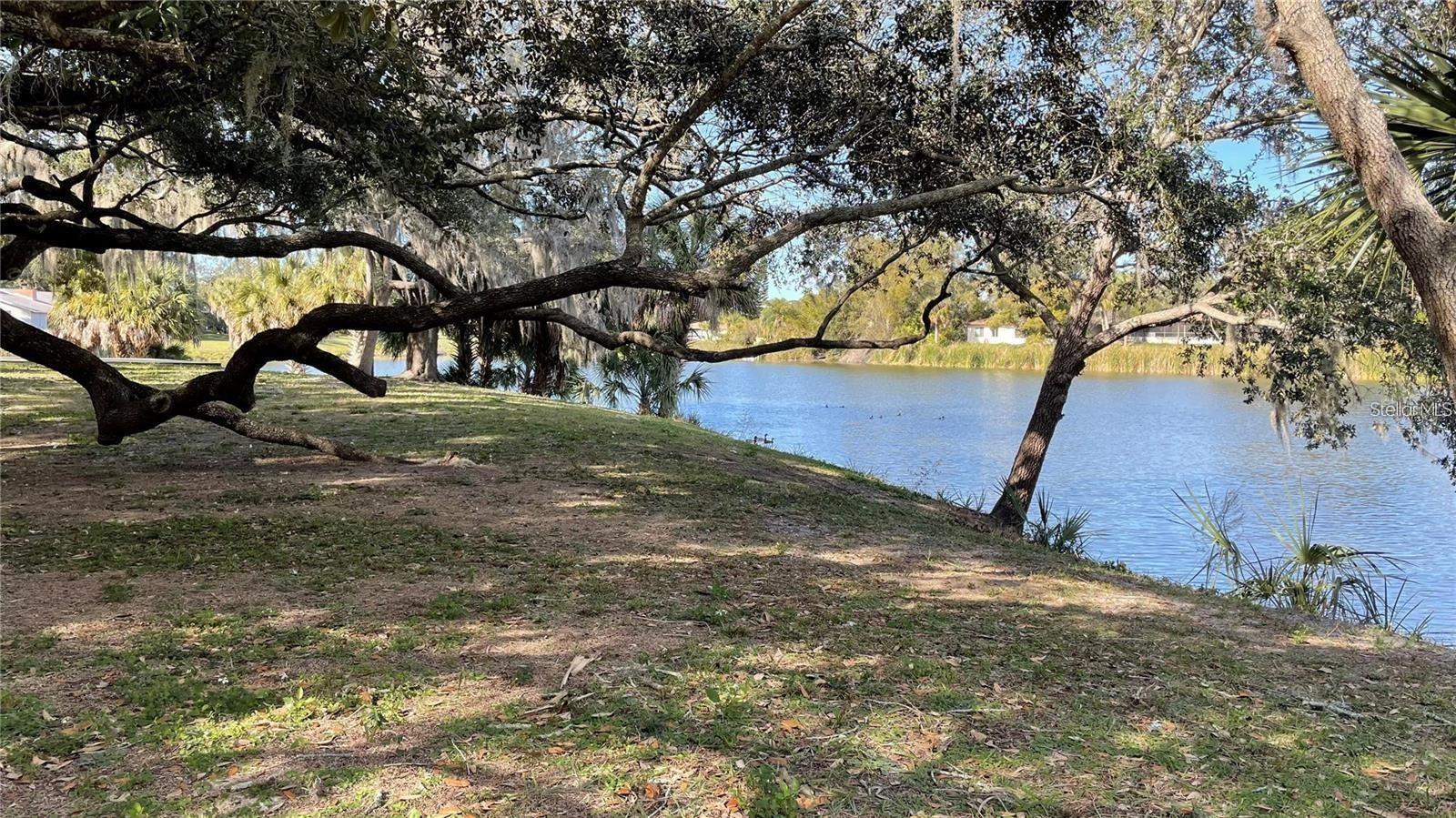 Image 47 of 47 For 8748 Forest Lake Drive