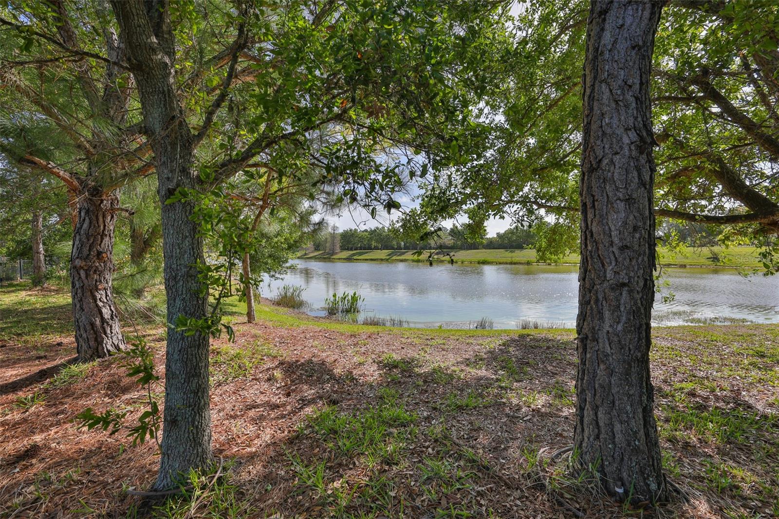 Image 58 of 94 For 6707 Park Strand Drive