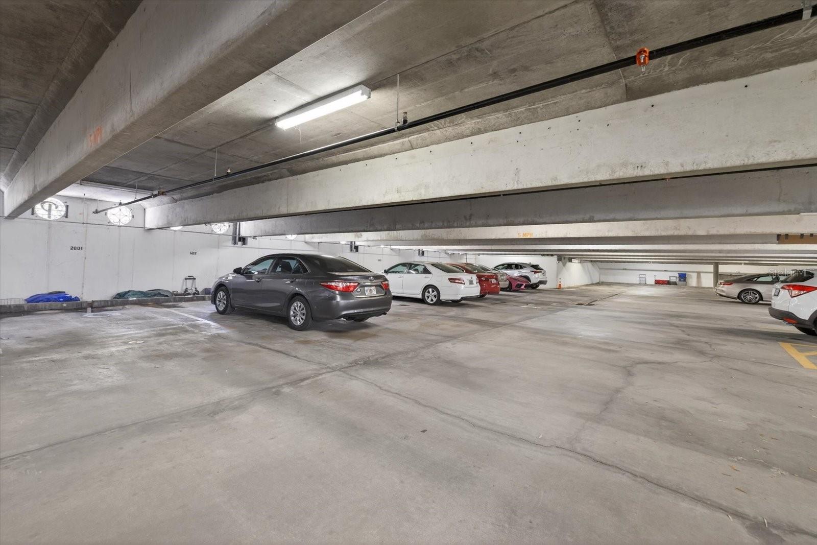 Image 43 of 49 For 4141 Bayshore Boulevard 2001