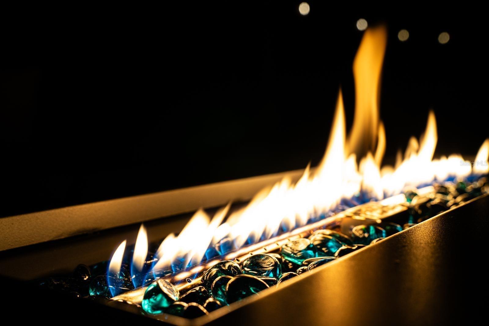 Image 20 of 22 For 4327 17th Avenue S