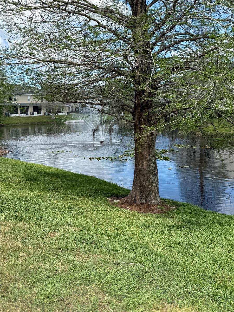 Image 14 of 14 For 16344 Swan View Circle