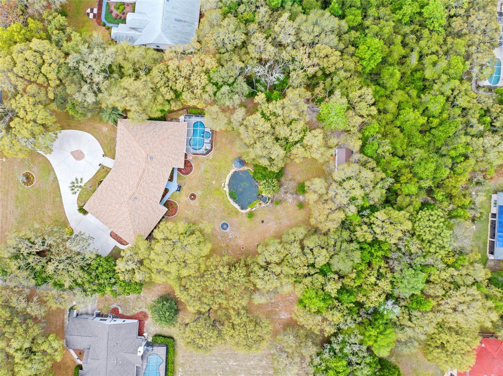 Image 41 of 100 For 161 Chase Street