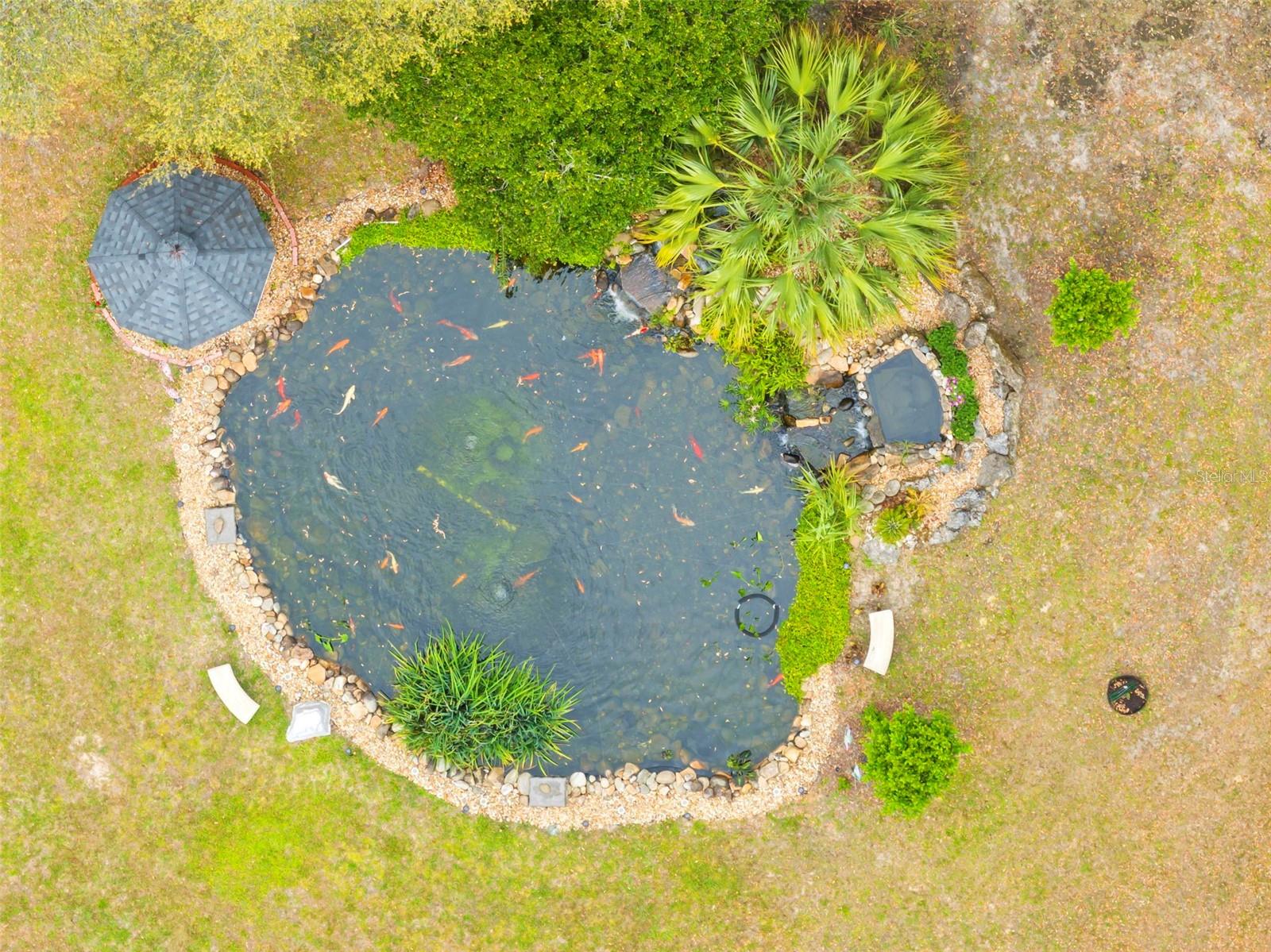 Image 5 of 100 For 161 Chase Street