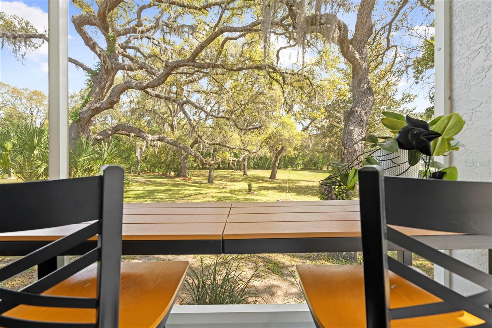 Image 88 of 100 For 161 Chase Street