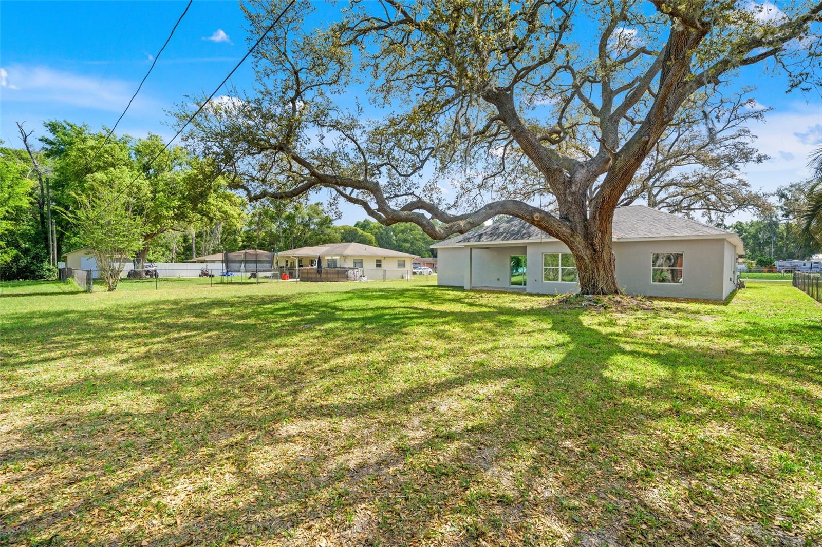 Image 31 of 37 For 179 Jenkins Avenue